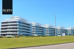 Tiburón Terrazas Barra