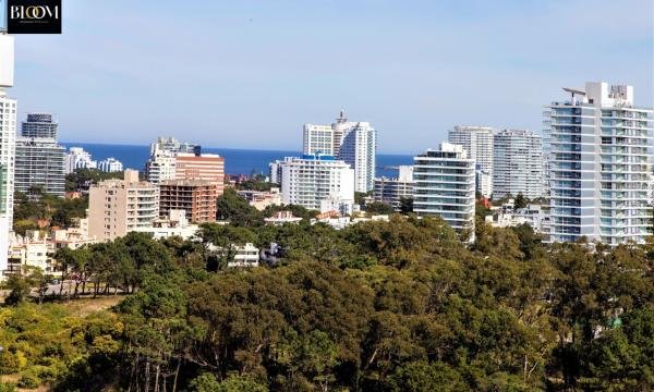 Moderno Apto 1 Dormitorio. Look Brava