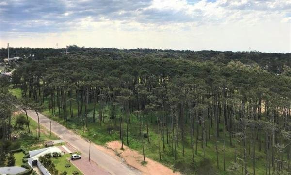 Espléndido Apartamento, 1 Suite, Look Brava